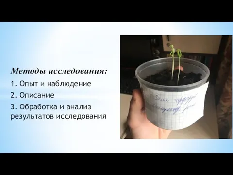 Методы исследования: 1. Опыт и наблюдение 2. Описание 3. Обработка и анализ результатов исследования