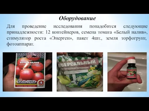 Оборудование Для проведение исследования понадобится следующие принадлежности: 12 контейнеров, семена томата «Белый