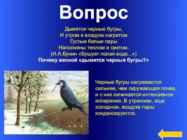 Вопрос Дымятся черные бугры, И утром в воздухе нагретом Густые белые пары