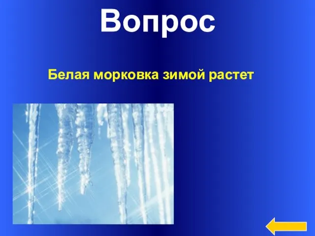 Вопрос Белая морковка зимой растет