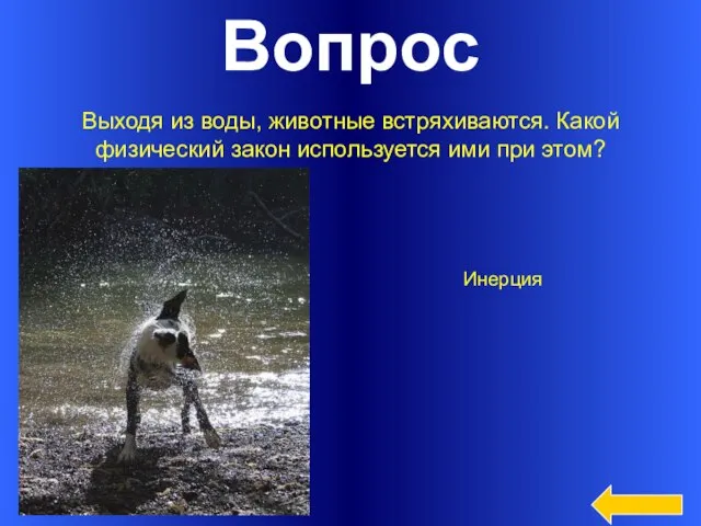 Вопрос Выходя из воды, животные встряхиваются. Какой физический закон используется ими при этом? Инерция