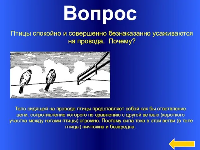 Вопрос Птицы спокойно и совершенно безнаказанно усаживаются на провода. Почему? Тело сидящей