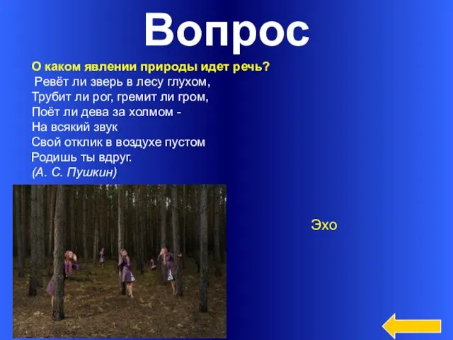 Вопрос О каком явлении природы идет речь? Ревёт ли зверь в лесу