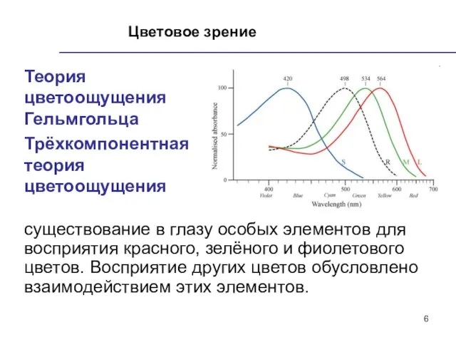 Цветовое зрение Теория цветоощущения Гельмгольца Трёхкомпонентная теория цветоощущения существование в глазу особых