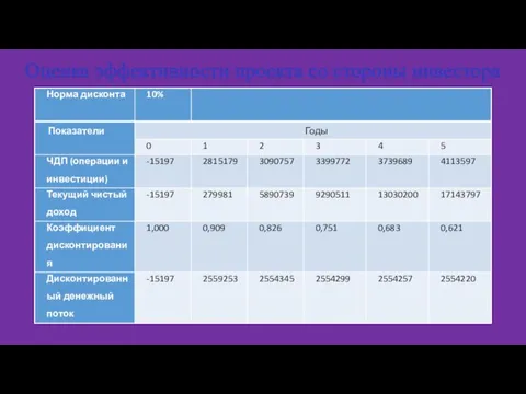 Оценка эффективности проекта со стороны инвестора