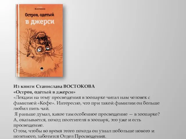 Из книги Станислава ВОСТОКОВА «Остров, одетый в джерси» «Лекции на тему просвещения