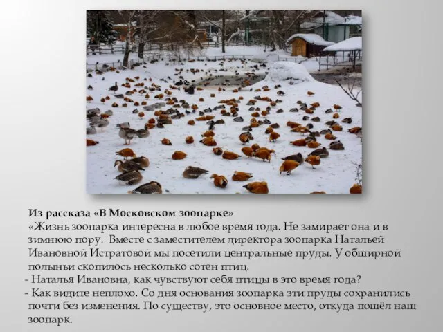 Из рассказа «В Московском зоопарке» «Жизнь зоопарка интересна в любое время года.