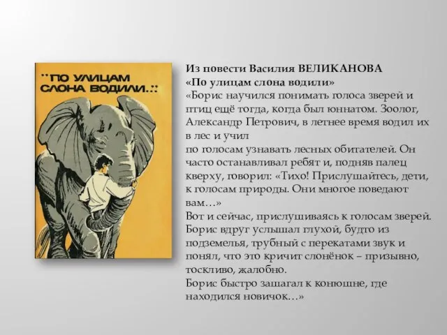 Из повести Василия ВЕЛИКАНОВА «По улицам слона водили» «Борис научился понимать голоса