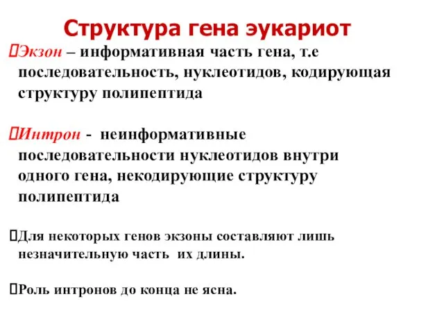 Структура гена эукариот Экзон – информативная часть гена, т.е последовательность, нуклеотидов, кодирующая