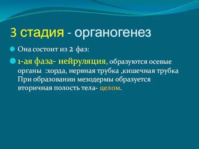 3 стадия - органогенез Она состоит из 2 фаз: 1-ая фаза- нейруляция,