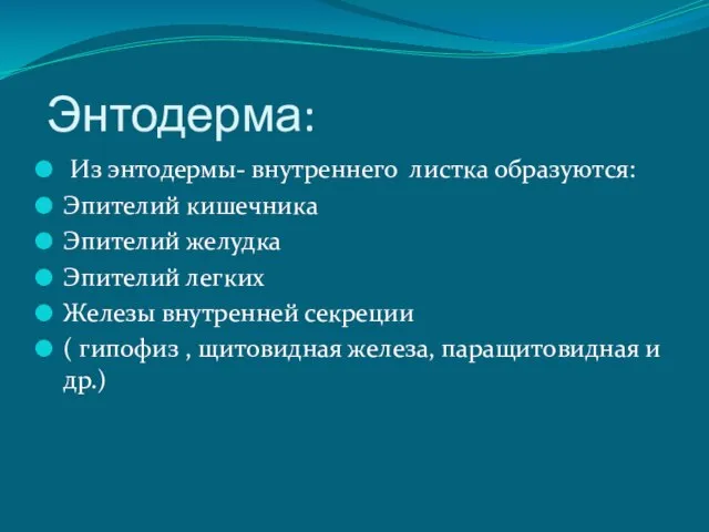 Энтодерма: Из энтодермы- внутреннего листка образуются: Эпителий кишечника Эпителий желудка Эпителий легких