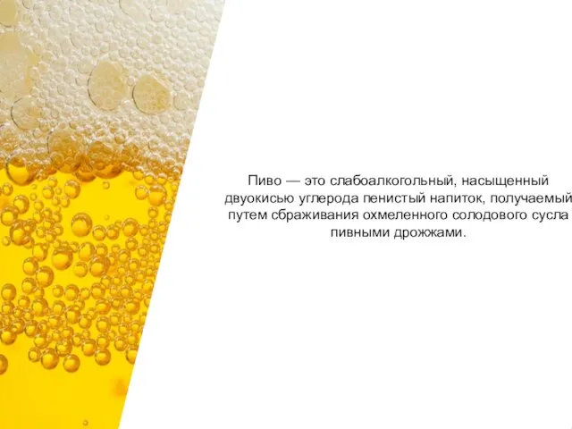 Пиво — это слабоалкогольный, насыщенный двуокисью углерода пенистый напиток, получаемый путем сбраживания