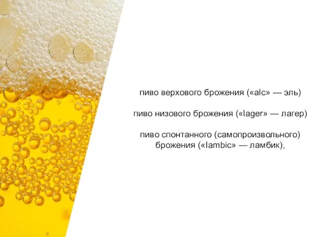 пиво верхового брожения («аlс» — эль) пиво низового брожения («lager» — лагер)