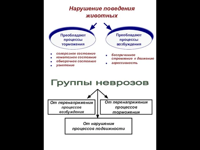 сопорозное состояние коматозное состояние обморочное состояние угнетение беспричинное стремление к движению агрессивность