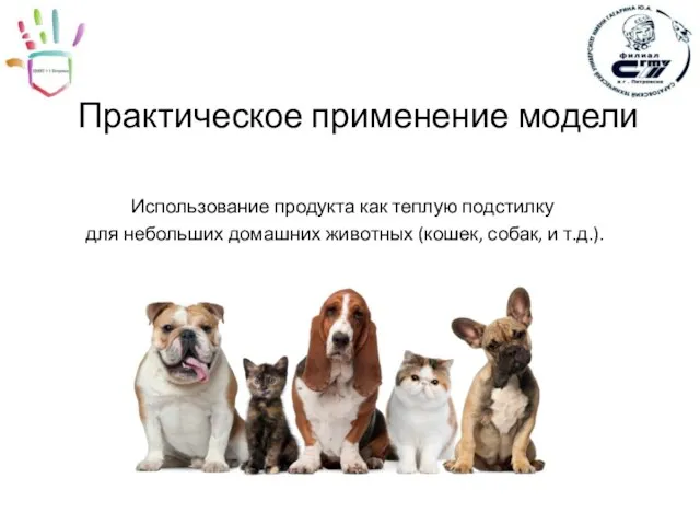 Практическое применение модели Использование продукта как теплую подстилку для небольших домашних животных (кошек, собак, и т.д.).