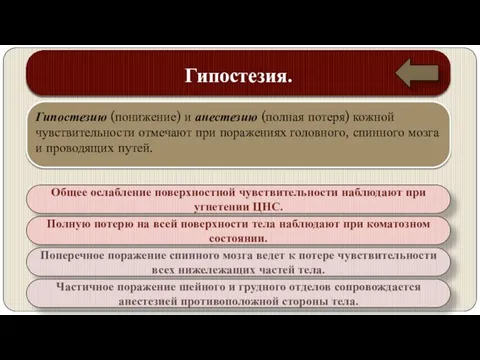 Гипостезия. Гипостезию (понижение) и анестезию (полная потеря) кожной чувствительности отмечают при поражениях