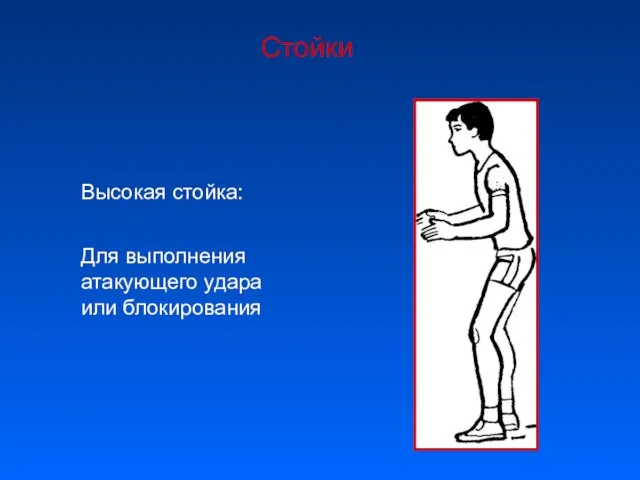 Стойки Высокая стойка: Для выполнения атакующего удара или блокирования