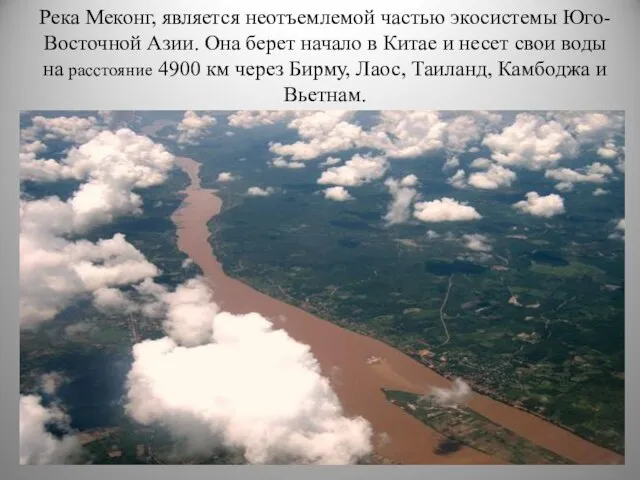 Река Меконг, является неотъемлемой частью экосистемы Юго-Восточной Азии. Она берет начало в