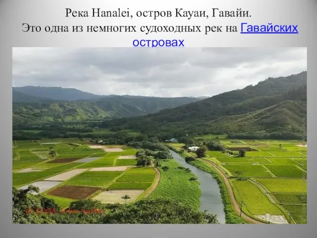 Река Hanalei, остров Кауаи, Гавайи. Это одна из немногих судоходных рек на Гавайских островах