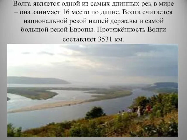 Волга является одной из самых длинных рек в мире – она занимает