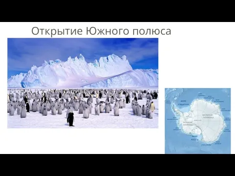 Открытие Южного полюса