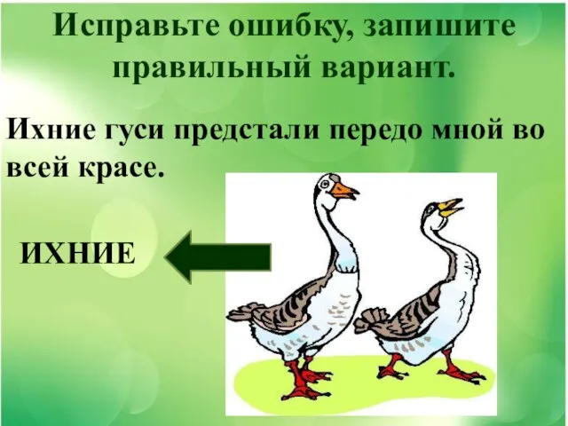 Исправьте ошибку, запишите правильный вариант. Ихние гуси предстали передо мной во всей красе. ИХНИЕ