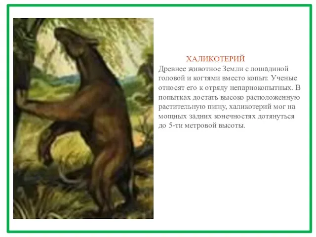 ХАЛИКОТЕРИЙ Древнее животное Земли с лошадиной головой и когтями вместо копыт. Ученые