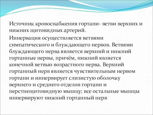 Источник кровоснабжения гортани- ветви верхних и нижних щитовидных артерий. Иннервация осуществляется ветвями