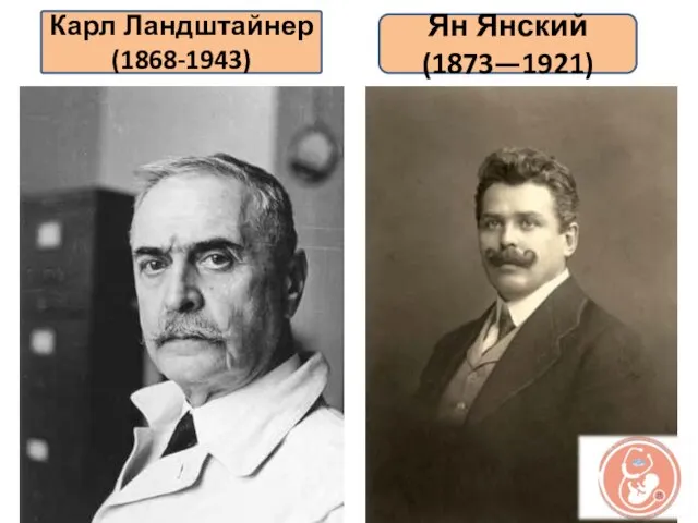 Карл Ландштайнер (1868-1943) Ян Янский (1873—1921)