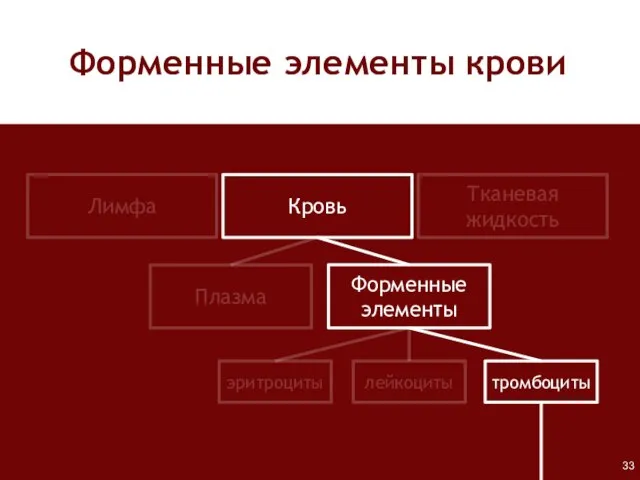 Форменные элементы крови Лимфа Кровь Тканевая жидкость Плазма Форменные элементы лейкоциты тромбоциты эритроциты