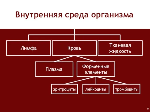 Внутренняя среда организма Лимфа Кровь Тканевая жидкость Плазма Форменные элементы лейкоциты тромбоциты эритроциты