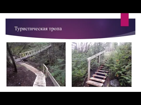 Туристическая тропа