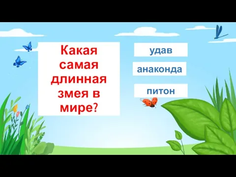 Какая самая длинная змея в мире? анаконда удав питон