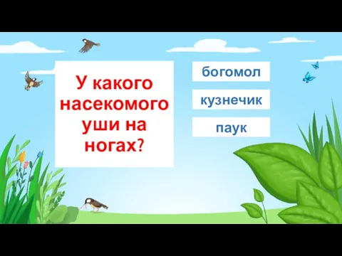 У какого насекомого уши на ногах? кузнечик богомол паук