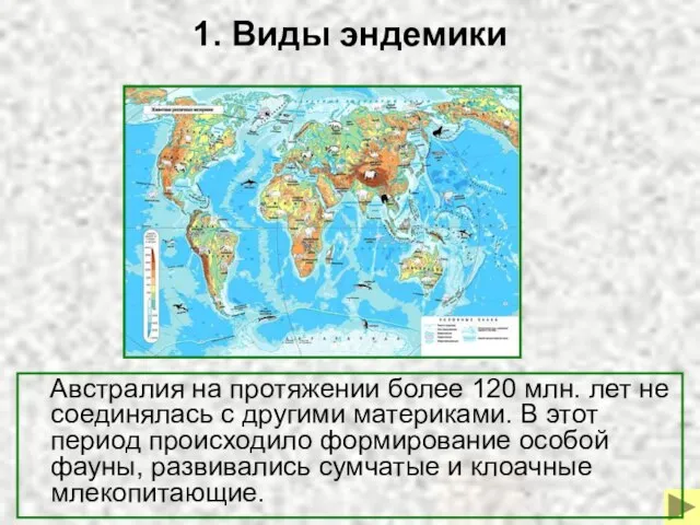 1. Виды эндемики Австралия на протяжении более 120 млн. лет не соединялась