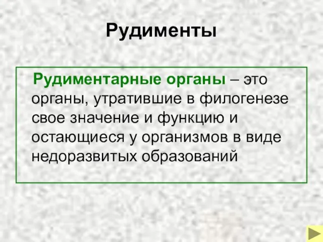 Рудименты Рудиментарные органы – это органы, утратившие в филогенезе свое значение и