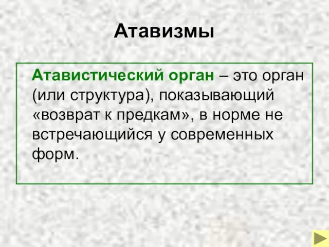 Атавизмы Атавистический орган – это орган (или структура), показывающий «возврат к предкам»,