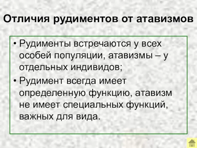 Отличия рудиментов от атавизмов Рудименты встречаются у всех особей популяции, атавизмы –