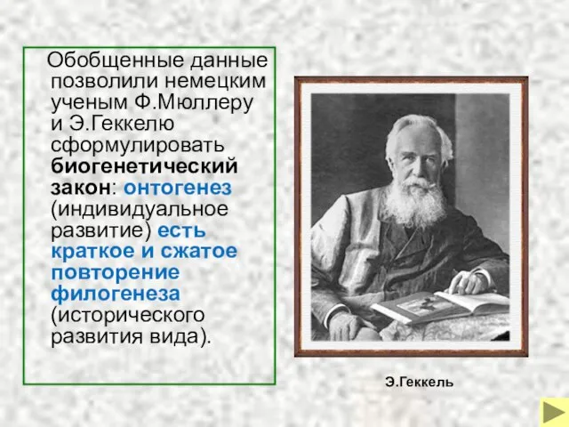 Обобщенные данные позволили немецким ученым Ф.Мюллеру и Э.Геккелю сформулировать биогенетический закон: онтогенез