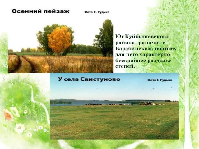 Юг Куйбышевского района граничит с Барабинским, поэтому для него характерно бескрайнее раздолье степей.