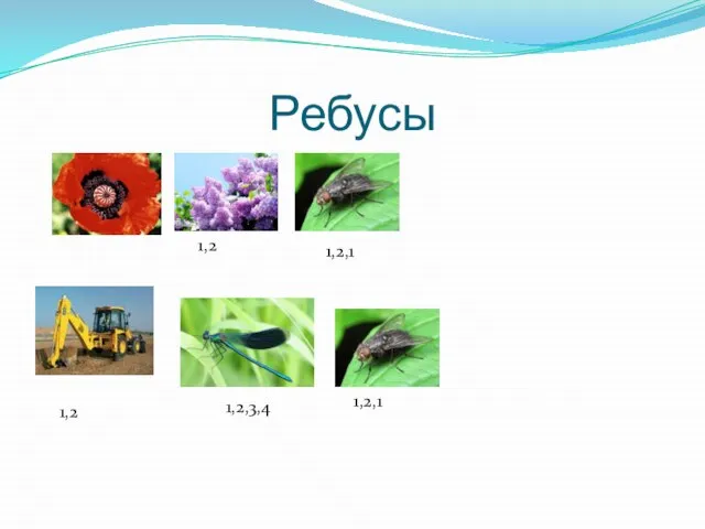 Ребусы 1,2 1,2,1 1,2,3,4 1,2,1 1,2