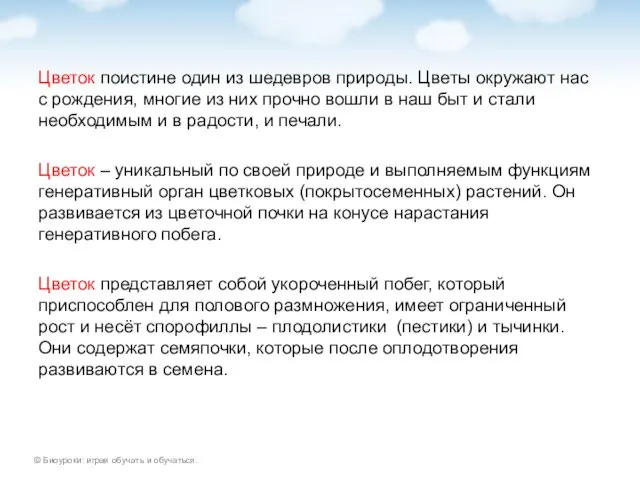 Цветок поистине один из шедевров природы. Цветы окружают нас с рождения, многие