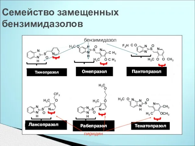 Семейство замещенных бензимидазолов Тимопразол Омепразол Пантопразол Лансопразол Рабепразол Лансопразол Тенатопразол бензимидазол пиридин