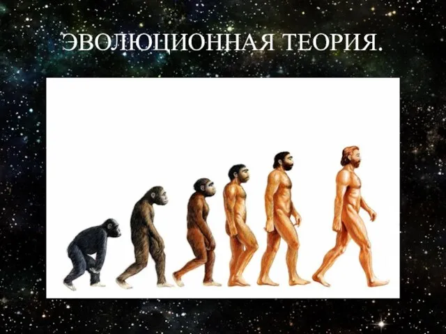 ЭВОЛЮЦИОННАЯ ТЕОРИЯ.