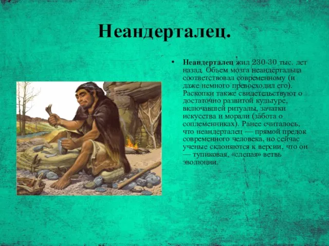 Неандерталец. Неандерталец жил 230-30 тыс. лет назад. Объем мозга неандертальца соответствовал современному