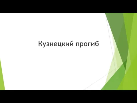 Кузнецкий прогиб