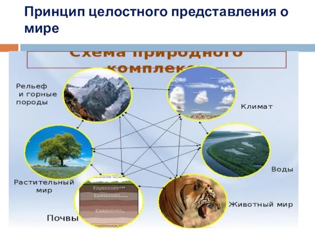 Принцип целостного представления о мире