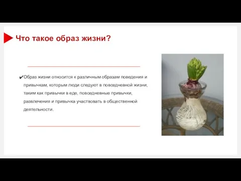 Что такое образ жизни? Образ жизни относится к различным образам поведения и