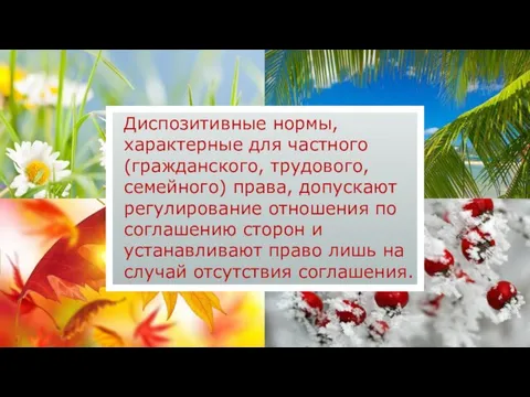 Диспозитивные нормы, характерные для частного (гражданского, трудового, семейного) права, допускают регулирование отношения