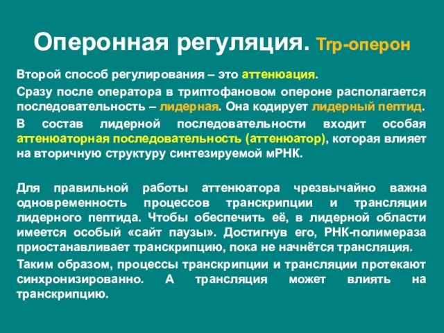 Второй способ регулирования – это аттенюация. Сразу после оператора в триптофановом опероне